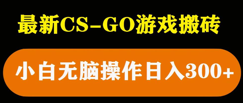 最新csgo游戏搬砖游戏，无需挂机小白无脑也能日入300+-泡泡爱学习哦